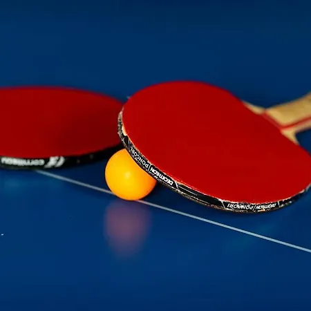 Maison Nelson Kır Evi *